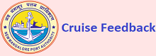 Cruise Feedback